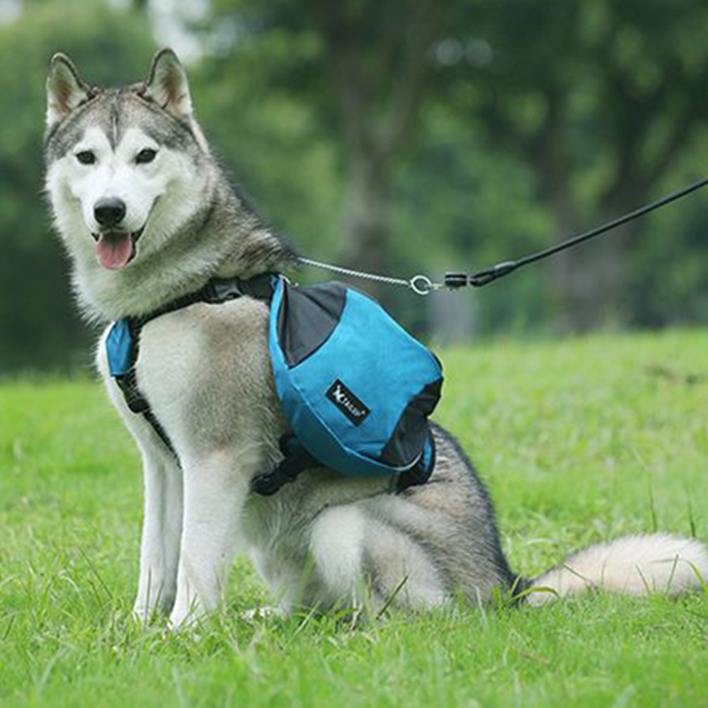 Dog Weight Training Backpack H - Crossfit Weight Vest 评论和价格